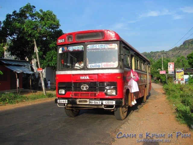 dambulla_city-local-bus
