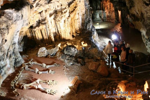 Скелет мамонта в пещере