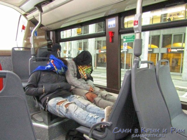 Незванные пассажиры в автобусах