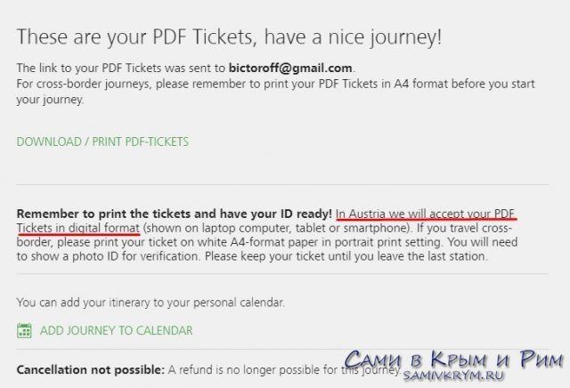 Билет можно хранить на телефоне в формате PDF
