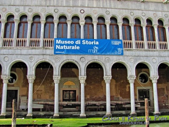 Музей натуральной истории