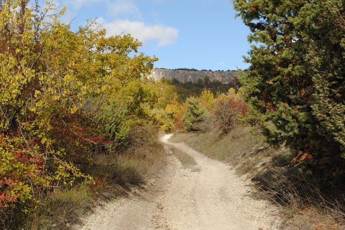 Дорога к Тепе-Кермен