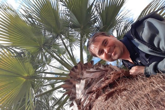 Обнимашки с пальмами